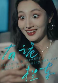有诡拦车