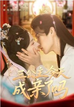 三公主今天成亲了吗