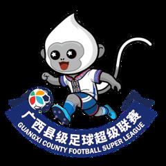 广西县级足球超级联赛 柳州市柳南区队3-0来宾市武宣县队20260307