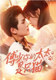 傅少，你的太太是只猫