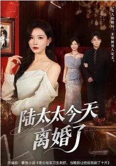 陆太太今天离婚了