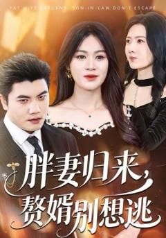 胖妻归来，赘婿别想逃
