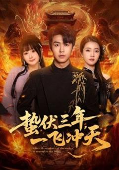 蛰伏三年，一飞冲天