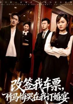 改签我车票，竹马悔哭在我订婚宴