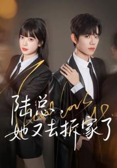 陆总，她又去拆家了