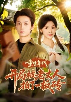 重生年代开局被老丈人拍了一板砖