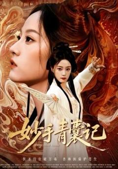 《妙手青囊记》