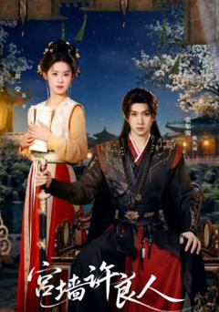 《宫墙许良人》