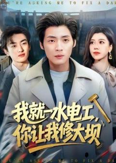 我就一水电工，你让我修大坝