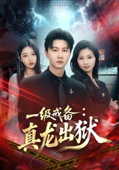 《一级戒备：真龙出狱》