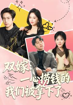 《双嫁：一心捞钱的我们被拿下了》