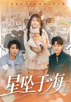 《星坠于海》