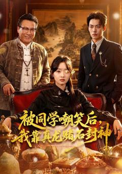 《被同学嘲笑后，我靠真龙赌石封神》