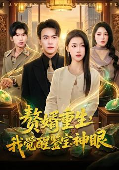 《赘婿重生，我觉醒鉴宝神眼》