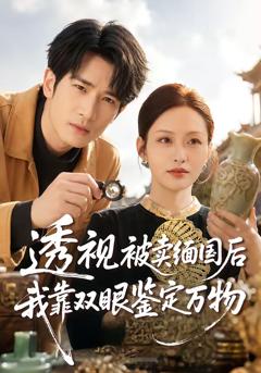 《透视被卖缅国后我靠双眼鉴定万物》