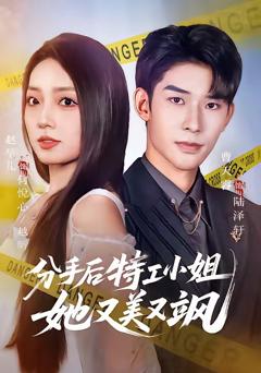 《分手后特工小姐她又美又飒》