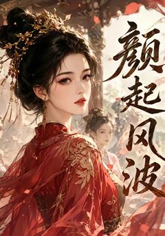 《颜起风波》