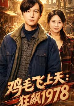 《鸡毛飞上天：狂飙1978》