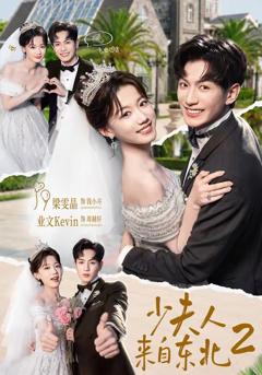 《少夫人来自东北2》