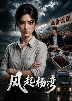 《风起杨湾》