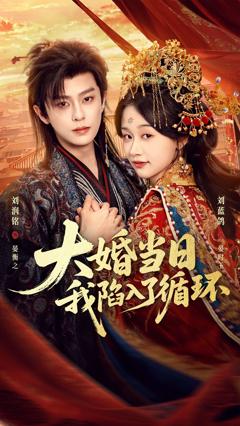 《大婚当日，我陷入了循环》
