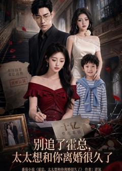 《别追了霍总，太太想和你离婚很久了》