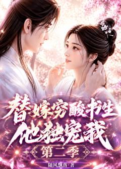 《替嫁穷酸书生他独宠我第二季》
