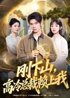 《刚下山，高冷总裁赖上我》