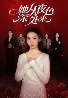 《她从夜色深处来》