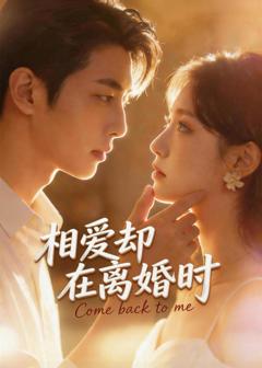 《相爱却在离婚时》