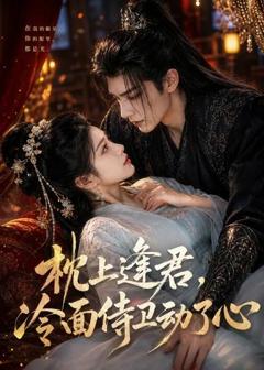 《枕上逢君，冷面侍卫动了心》