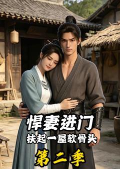 《悍妻进门扶起一屋软骨头第二季》