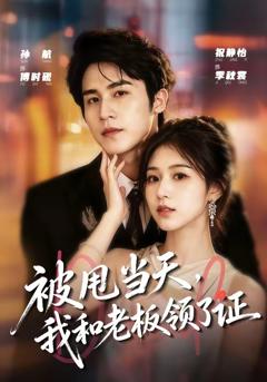 《被甩当天，我和老板领了证》