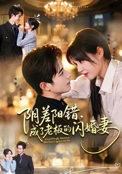 《阴差阳错，成了老板的闪婚妻》