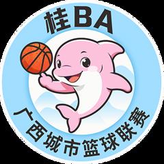 《桂BA .防城港市.VS玉林市20260711》