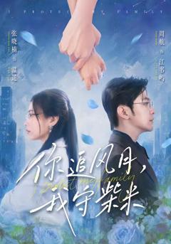 《你追风月，我守柴米》