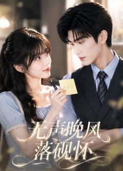 《无声晚风落砚怀》
