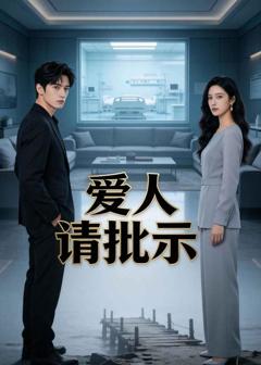 《爱人请批示》