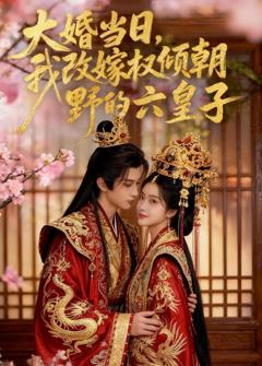 《大婚当日，我改嫁权倾朝野的六皇子》