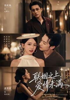 《联姻之上，爱情未满》