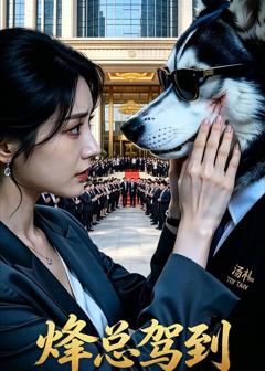 《烽总驾到》