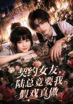 《契约女友，陆总竟要我假戏真做》