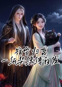 《宿雪归离：一纸契缘缚白发》
