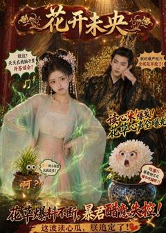 花开未央