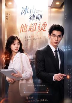 《冰山律师他超烫》