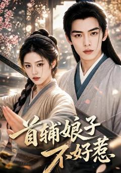 《首辅娘子不好惹》