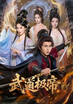 《武道极帝》