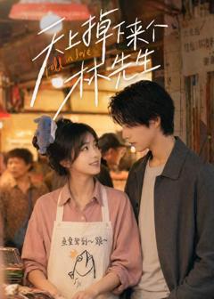 《天上掉下来个林先生》