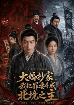 《大婚抄家，我把罪妻养成北境之主》