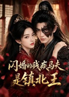 《闪婚的残疾马夫是镇北王》